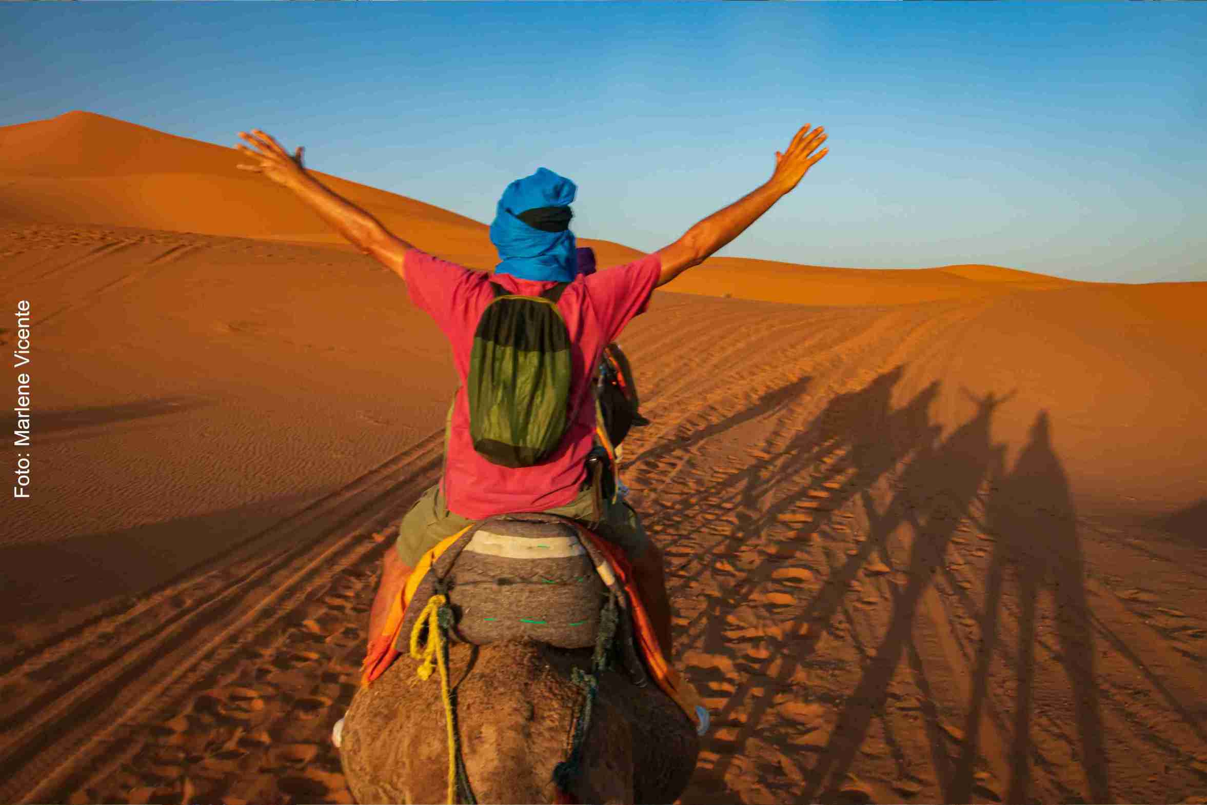 Kamelreiten in der Sahara